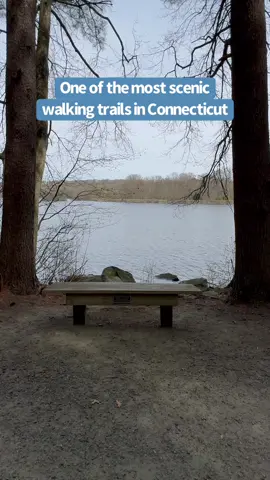 We discovered one of the most scenic walking paths - the Scoville Reservoir (also known as the Woodtick Reservoir) in Wolcott, Connecticut. The Woodtick Reservoir, often referred to as Scovill's Reservoir, is a large man-made pond covering approximately 121 acres. It was constructed in 1917 and was originally associated with the prominent Scovill Manufacturing Company, which needed large amounts of water to produce brass. Today, the Woodtick Reservoir is home to a variety of fish and is stocked twice annually by the CT Department of Energy and Environmental Protection (Deep). This year 1,400 fish were released, some before the opening day of fishing season and some during the season. A popular fishing destination, the Woodtick Reservoir can be accessed from the shore in a variety of locations such as the bridge on Munson Road, near the walking trail on Wolf Hill Road, or by the main entrance located at the end of Scovill Road (located opposite the corner of Woodtick Road and Todd Road). Woodtick Reservoir is also a popular location for canoes, kayaks, and small boats. A public boat launch is available at the main entrance at the end of Scovill Road. There is an electric-motor-only restriction on Woodtick Reservoir. Boating on Woodtick Reservoir is a great way to enjoy this beautiful body of water. Please take note of the following regarding boating on Woodtick Reservoir: Woodtick Reservoir has a boat launch for your convenience Only electric motors are allowed on Woodtick Reservoir Sailboats are prohibited on Woodtick Reservoir No watercraft shall be moored on Woodtick Reservoir No watercraft is to be stored on Town-owned property that surrounds these bodies of water which is 50' from the full-water level Access Points: the bridge on Munson Road, near the walking trail on Wolf Hill Road, or by the main entrance located at the end of Scovill Road (located opposite the corner of Woodtick Road and Todd Road).** From the town of Wolcott's website - to make sure I got all the info! #wolcottct #ct #connecticut #thingstodoinct #cthike #cttrail #ctboating #ctlakes #ctfoodie #ctfoodies #visitct