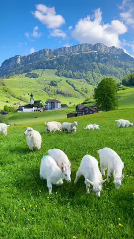 ✨ Beautiful Switzerland 🇨🇭 #switzerland #swissaround #tiktoktravel #nature #landscape 