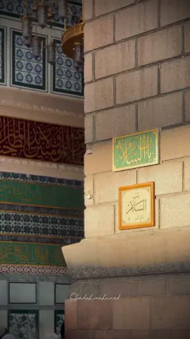 #ان_الله_وملائكته_يصلون_على_النبي #المسجد_النبوي #يوم_الجمعة #الحرم_النبوي_الشريف #المدينة_المنورة #اكسبلور #fypシ #مشاري_العفاسي #تصويري📸 #تصميمي 