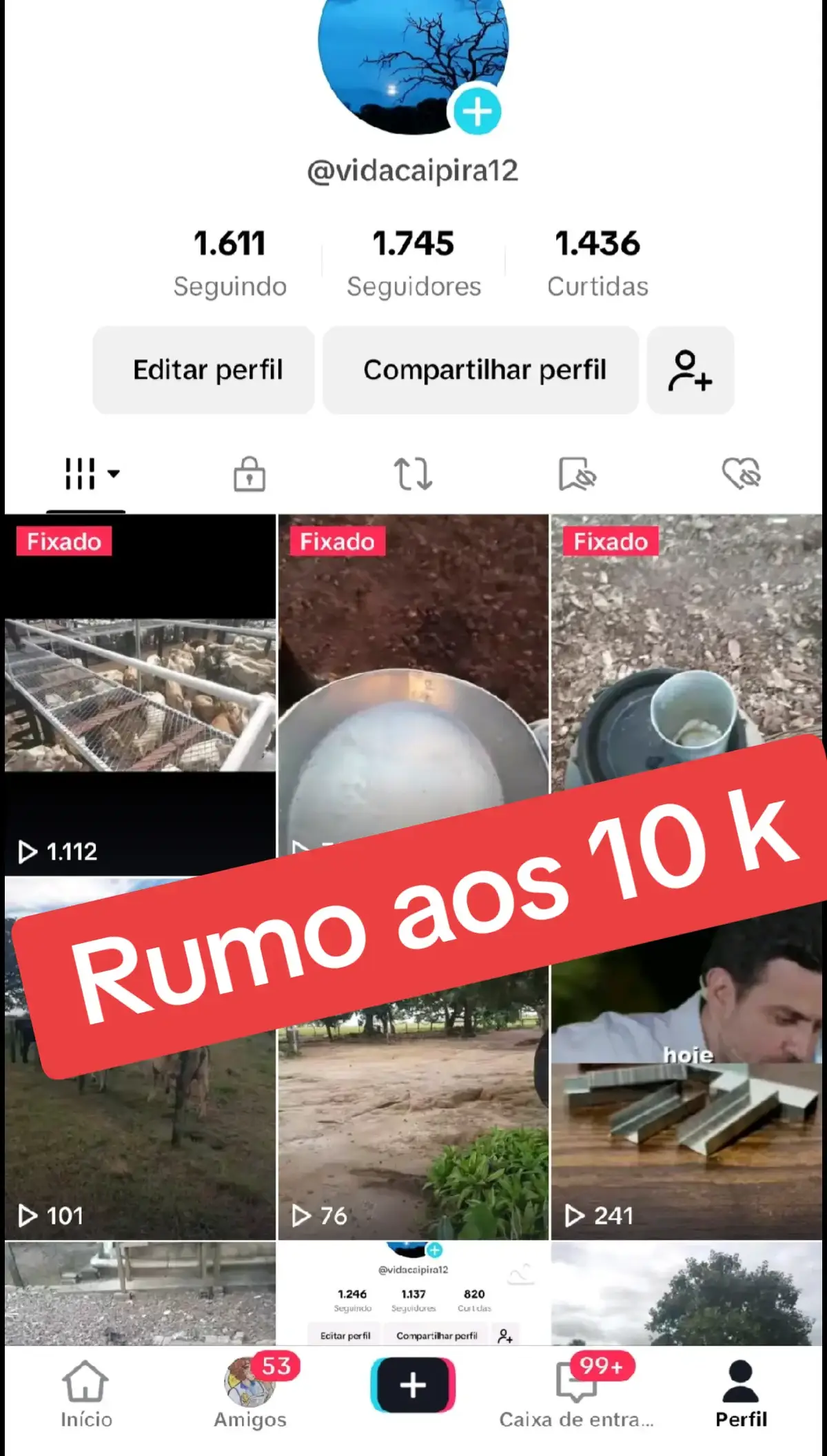 Vem 10 k  #rumoaos10k  #vemmonetização 