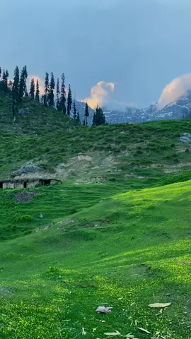 Shumano Banda Lilonai Shangla These majestic meadows are located in the vicinity of lilownai Shangla, can be trekked from kas lilownai in 2-3 hours of moderate trekking after reaching Kas itself in a vehicle... The enchanting beauty of these meadows is matchless.    #lilownaivalley #Shangla #shanglavalley #lilownai #aجaر__ihtishaam 