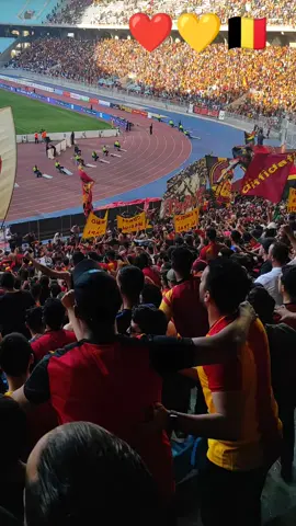 #viragetaraji #tarajidawla #EST_vs_ess #curvasud #curvasudtunisi 💛❤️🇧🇪