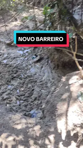VAMOS CONHECER O NOVO BARREIRO?? #floresta #natureza #natureza #roça #barreiro #animaissilvestres 