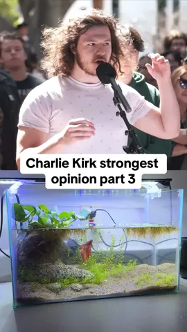 Charlie kirk strongest political opinion part 3 #fishies #fish #petfish #aquarium #aquascape #charliekirk #political #opinion #series #fy #xuhuong 