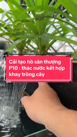 Khay trồng cây kết hợp thác nước và tạo oxi cho bể cá . Chi tiết cho ae có thể làm theo nhé #tuấnmêcá #menuoica #hocadongian #tulamhoca #tulamhocavang #lamhocavang #nuoicavang #trongcaynuoica #khaytrongcay #thacnuochoca 