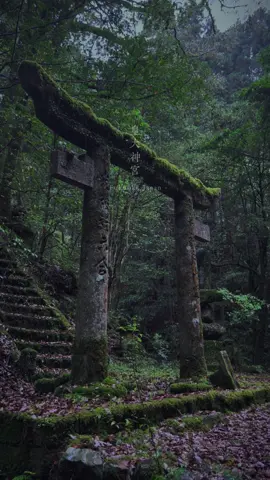 そこだけ時間が止まった神社⛩️ #神社 #廃神社　 #shrine  #japan  #japantravel 