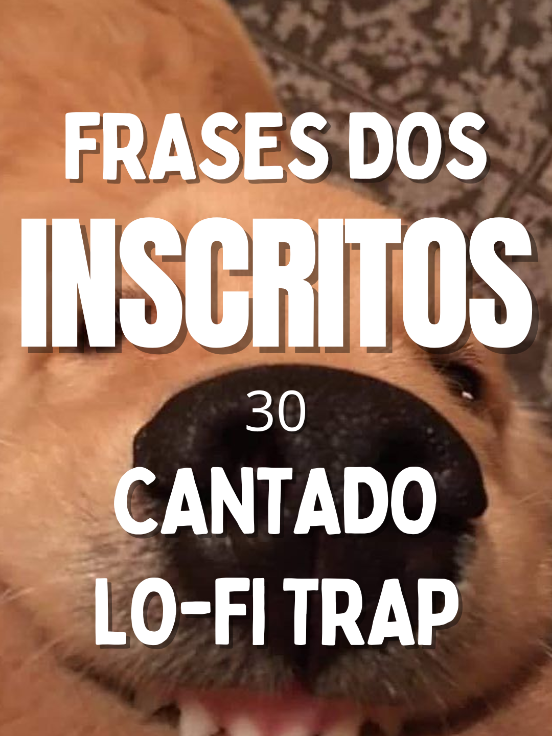 Frases dos inscritos 30