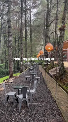 Tempat healing yang bisa kamu datengin pas weekend! Cuma 2 jam-an dari Jakarta loh!!! #fyp #healingplace #bogor #kopidaong #coffeeshopbogor #weekend #bogorplacetogo #tempathealing #rekomendasitempat 