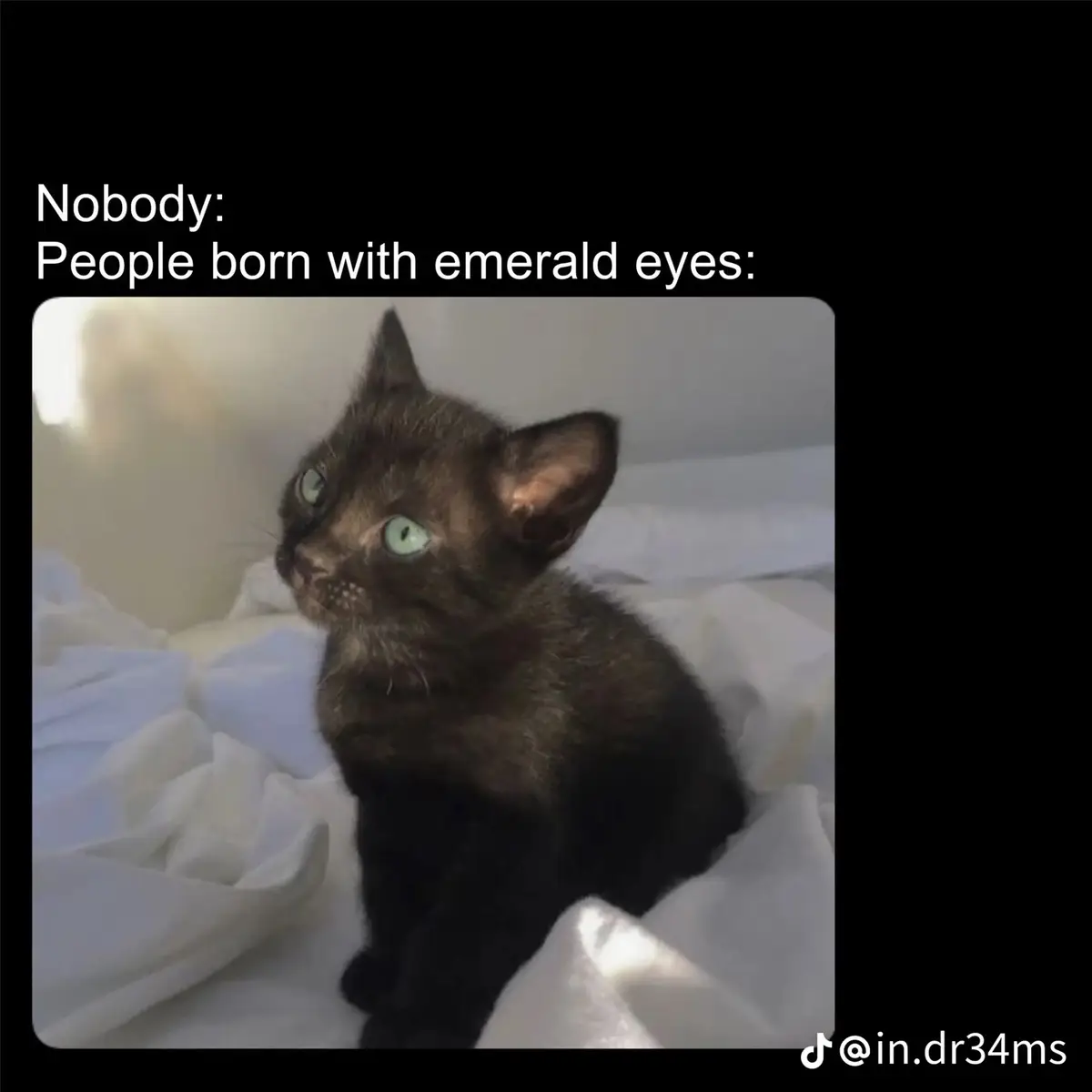 i dont think i have emerald eyes but the picture matched mine the most..