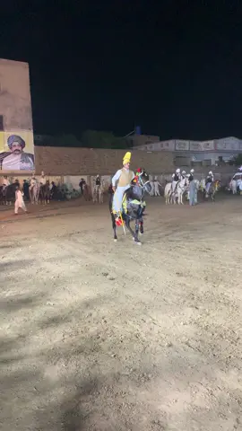 Aya Awan #wafaehaider #sabirawan01 #jhammat_group #horselover #chakwal 