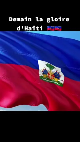 🇭🇹🇭🇹#fypシ゚viral #haiti #haitiantiktok #haitianflagday #video 