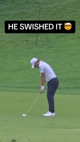 THIS SHOT IS RIDICULOUS 👏 #pga #golf #pgachampionship #swish 