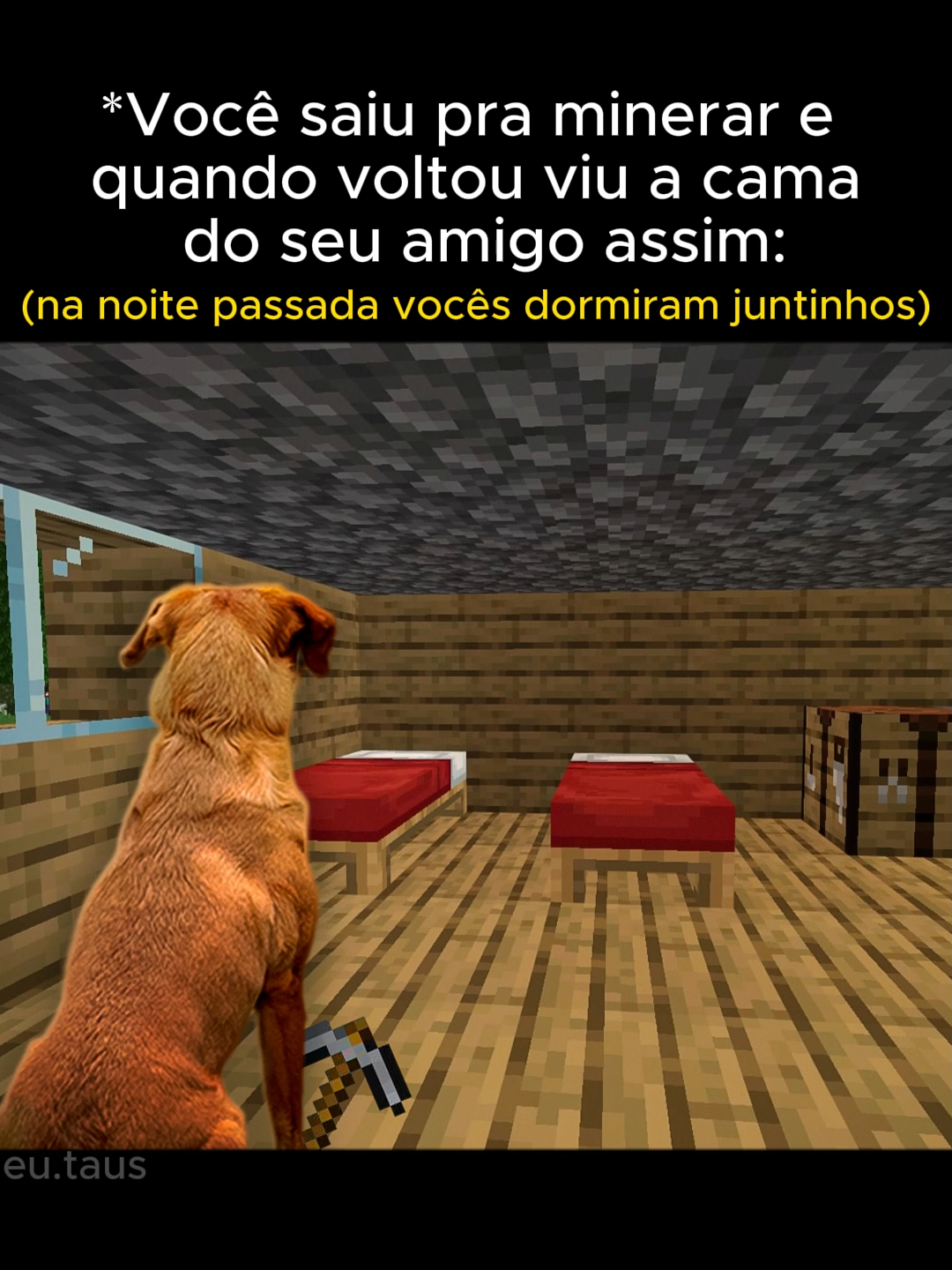 Parte 36 | A gente tava dormindo de conchinha snif snif #Minecraft #foryou #fyp #memes #frases #games #real #viral #literalmenteeu