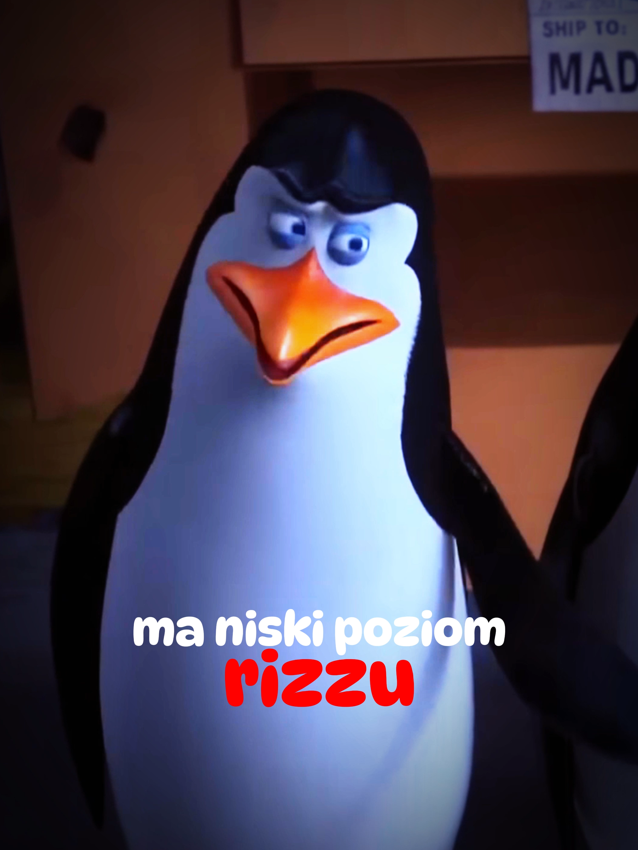 Sigmy... z Madagaskaru? 🐧🗿 #isamuautostrada #trend #ai #dc #dlaciebie #viral #pl #śmieszne #foryou #tiktok #fyp @Szymon Kasprzyk 