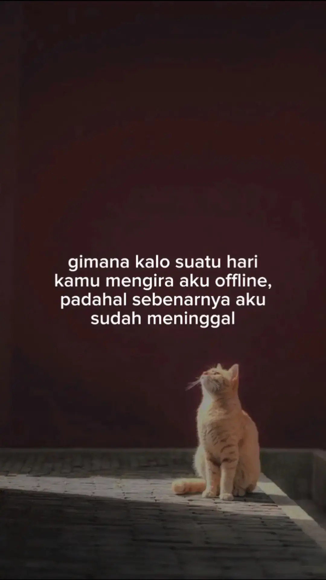 tolong tutup rapat aib ku, jangn ceritakan pada siapapun😔 #sadstory #storywhatsapp #sadvideo🍀🥀💔 