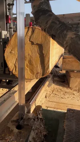 Cutting a tree into flat slabs