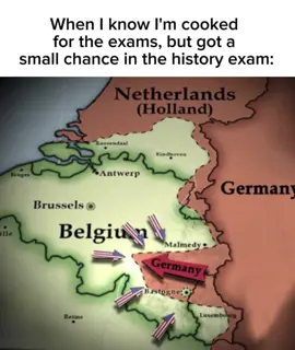 This is my last chance as the Germans last chance during WW2 “Ardennes Offensive” #ww2 #ww2history #history #germany #belgium #netherlands #usa #uk #exam #school #real #meme #viral #foryou #foryoupage #fyp