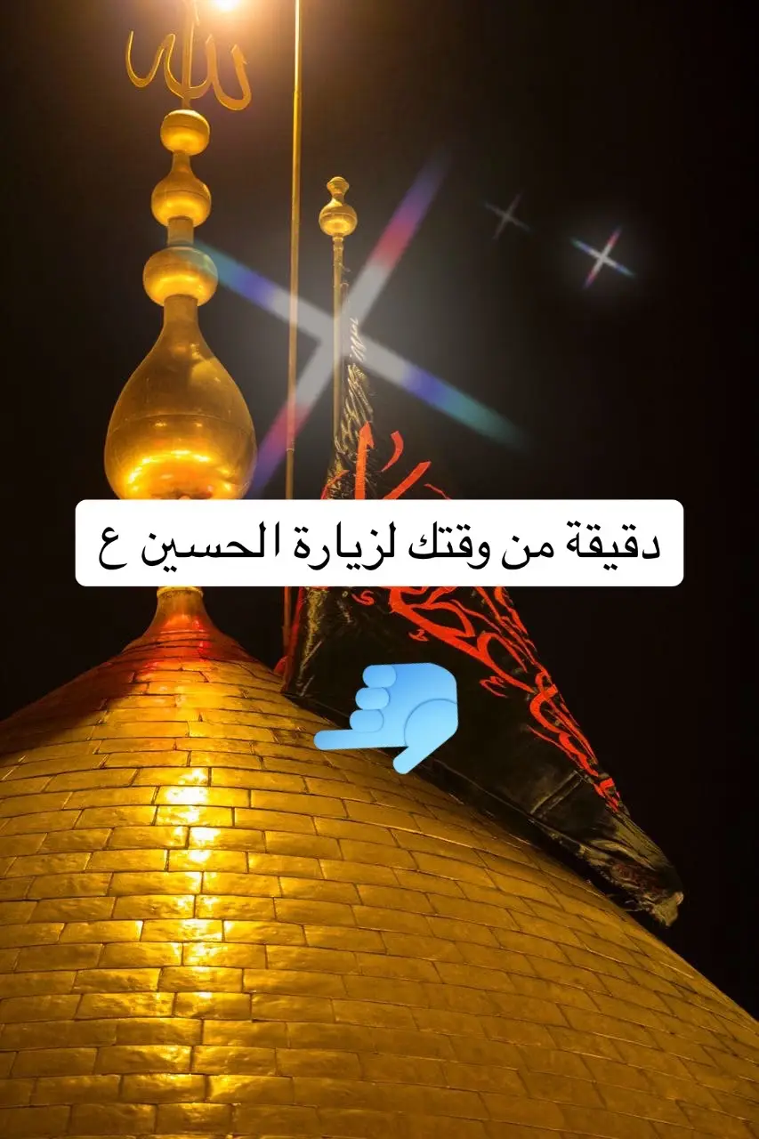 زيارة الامام الحسين ع  #fysayed 