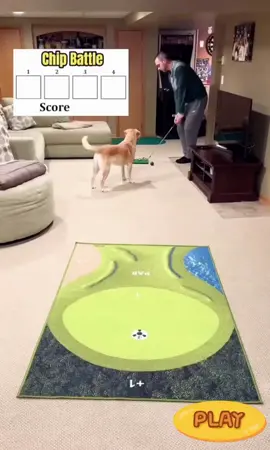Transform your living room or backyardsinto a golf paradise with these sticky balls and chipping mat for indoor training! #golfaccessories #golfswing #golfballs #familytiktok #family #funnytiktoks #golfchippingmat #golfgame #golftiktok #family #familygames #livingroom #houseoftiktok #indoorworkout 