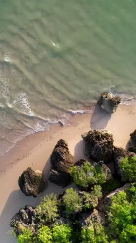 Did you spot the croc? 🐊 Binydjarrŋa (Daliwuy Bay) in East Arnhem Land is home to many saltwater crocodiles (Crocodilus porosus) – known as ‘baru’ in the local language – an ancient animal and icon of the Northern Territory. 🎥 Rikki Walls #australia #australian #australia🇦🇺 #australiatiktok #crocodile #crocs #crocodiles #croc #photography #photographer #photographersoftiktok #beach #beachvibes #beachlife #beachday #beachwaves #ocean #oceanlife #oceananimals #oceanside #oceanwaves #sea #paradise #wanderlust #adventure #travel #traveltiktok #travellife #traveltok #traveling #travelbucketlist #travelling #travelblogger #AdventureVibes #adventuretravel #adventureawaits #adventurer #wildlife #wildlifephotography #wildlifeoftiktok #wildlifelover #wildlifeanimals #wildlifephotographer #wildlifeconservation #nature #naturevibes #natureathome #naturelove #naturephotography #naturelovers #naturelover #adventures