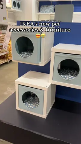 If they had that cat house for the Kallax unit in beige to match my others at home, that would’ve 10000% been coming home with us 😍😭 #foryou #foryoupage #fyp #fypp #trending #viral #ikea #pet #PetsOfTikTok #dogsoftiktok #catsoftiktok #ikeahack #ikeafinds #ikeatok #ikeahaul #newmusic 