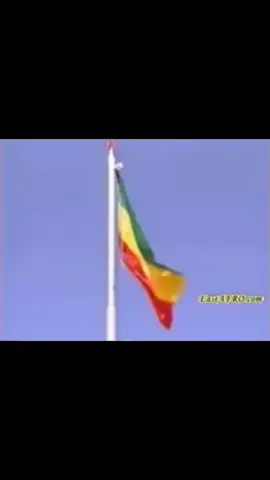 #eritrean #eritreantiktok #eritrea #prouderitrean #eritreanwomen 