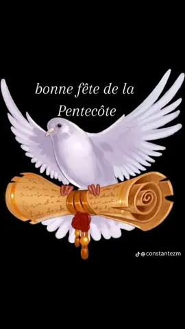 Bonne fête de la pentecôte..... #pentecote #catholic #viralvideotiktok 