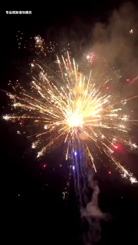 100发 亿万富豪 (美太烟花) 100 Shots Billionaire Fireworks Cake by MerryTime Fireworks 2024 #merrytimefireworks 