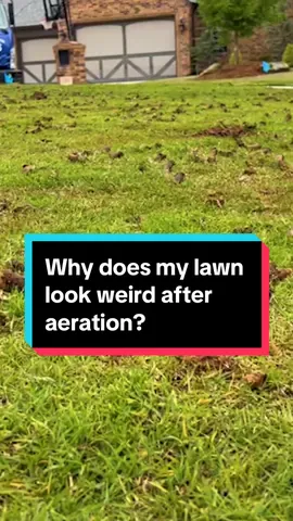 What to Do with Grass After Aeration? #grass #aeration #lawn #lawncare #yard #fyp 