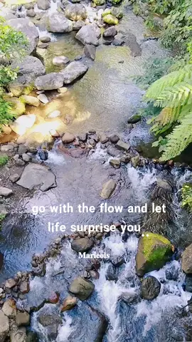 go with the flow! #nature  #forest  #river 