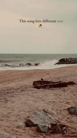 Irundhai; irundhom🌙🥀 #timeheals #missing #nature #beachvibes #arrahman #netruavalirundhaal #maryan #tamilsong #tamilbgm #tamilstatus #midnightvibes #fyp #trending #viraltiktok #tiktokmalaysia 