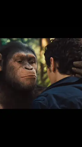 Caesar is Home 🥺 || Rise Of The Planet Of The Apes #apes #apesedit #riseoftheplanetofthapes #monkey #meme #viral #viralvideo #viraltiktok #fyp #foryou #foryoupage #uk #emotional 