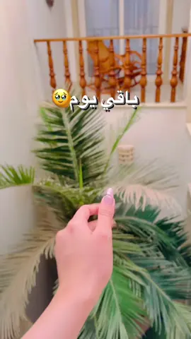 #سفر #صديقتي_توام_روحي🦋💕 #tiktok #liabya🇱🇾 #ليبيا🇱🇾 #مصر🇪🇬 #اكسبلورexplore #like #tiktok #ترند 