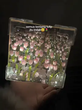 ternyata tulip secantik itu🥺🌷