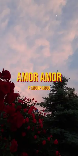 Dia 139/366 subiendo una canción hasta que acabe el año.✨#musica #amor 