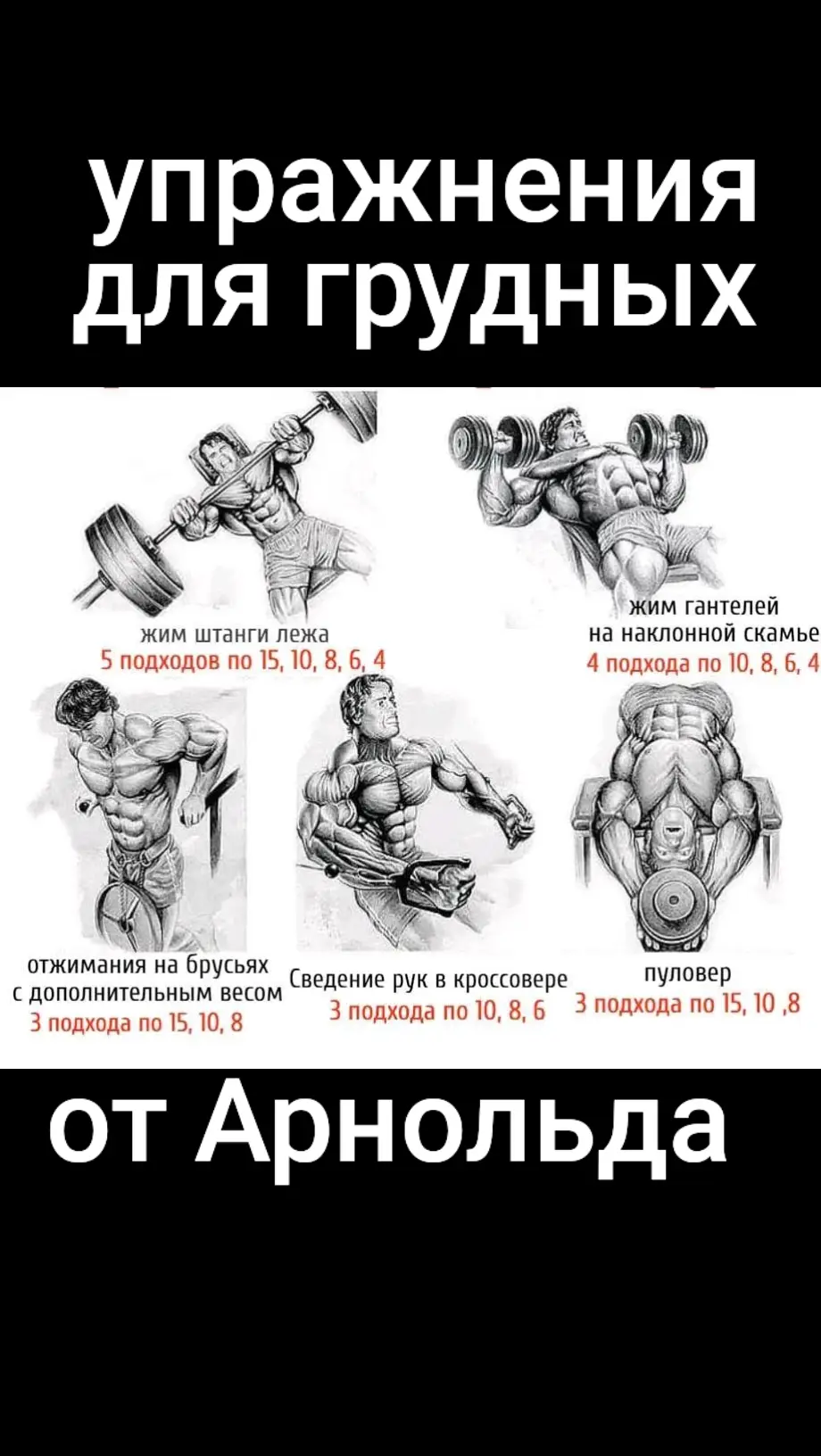 #народнаямедицина_исцелисебясам_физкультураиспорт_sport_качалка_качать #худеембыстро_худеемлегко_правильноеголодание_упражнения_для_похудения #мощнаятренировкадлявсеготела_fullbodytraining_жиросжигающаятренировка #упражнения_дляспины_ддярук_дляпресса_дляплечей_длягрудных_бицепса #красивое_поздравление_сднем_рождения_женщине_мужчине_любимой_подруге #доброе_утро_удачного_дня_тихого_вечера_спокойной_ночи_сладких_снов #лечебнаяфизкультура_фитнес_fitness_health_быстроепохудение_зарядка #воркаут_натуральныйбодибилдинг_калистеника_bodybuilding_штанга_гантели #жизньбезлекарств_здороваяжизнь_лечениебезлекарств #упражнения_для_всего_тела_дляпредплечий_длябицепса_длятрицепса_дляикр #здоровье_здоровоепитание_правильноепитание_интервальноеголодание_закал #мирногоутра_солнечногодня_теплоговечера_надобраніч_волшебныхснов #поздравляю_сднем_рождения_мамочка_папочка_бабуля_дедуля_мужлюбимый #поздравляю_сднем_рождения_мамочка_папочка #тренировки_дома_круговая_тренировка_дляздоровья_тренировкадлявсеготела #прекрасногоутра_солнечногодня_чудесноговечера_надобриніч_казковихснів_ #упражнения_срезинкой_сгантелями_сошангой_ссобственнымвесом_натурнике #поздравляю_сднем_рождения_мамуля_бабушка_дедушка_сынок_доченька #добрий_ранок_удачногодня_затишноговечора_волшебнойночи_сказочныхснов #упражнения_дляспины_длярук_дляпресса_дляплечей_длягрудных_бицепса