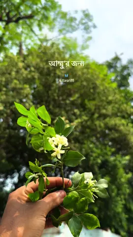 আম্মু’র জন্য.♥️ Facebook- Salman Tasrif #fypシ #foryoupage #viral #unfrezzmyaccount 