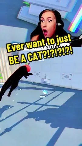 Little Kitty Big City video game gameplay highlights #littlekittybigcity #gaming #livegaming #tiktokbootcampsuperstars #bootcampsuperstars #bimbamgaming 