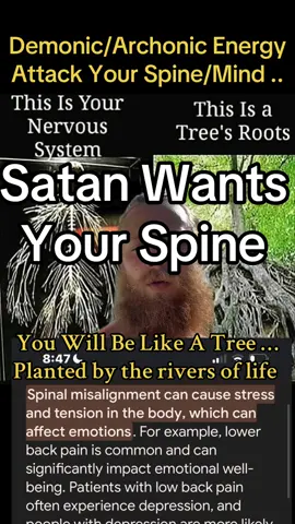 Replying to @Mikia Griffin #greenscreen Jacobslink.com for the Bible  Health Book and Organic Salt#fyp#