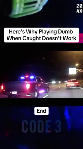 Here's Why Playing Dumb When Caught Doesn't Work. #cops #copsontiktok #nyc #copsoftiktok #camera #cop #police #fyp #viral #fyppppppppppppppppppppppp 