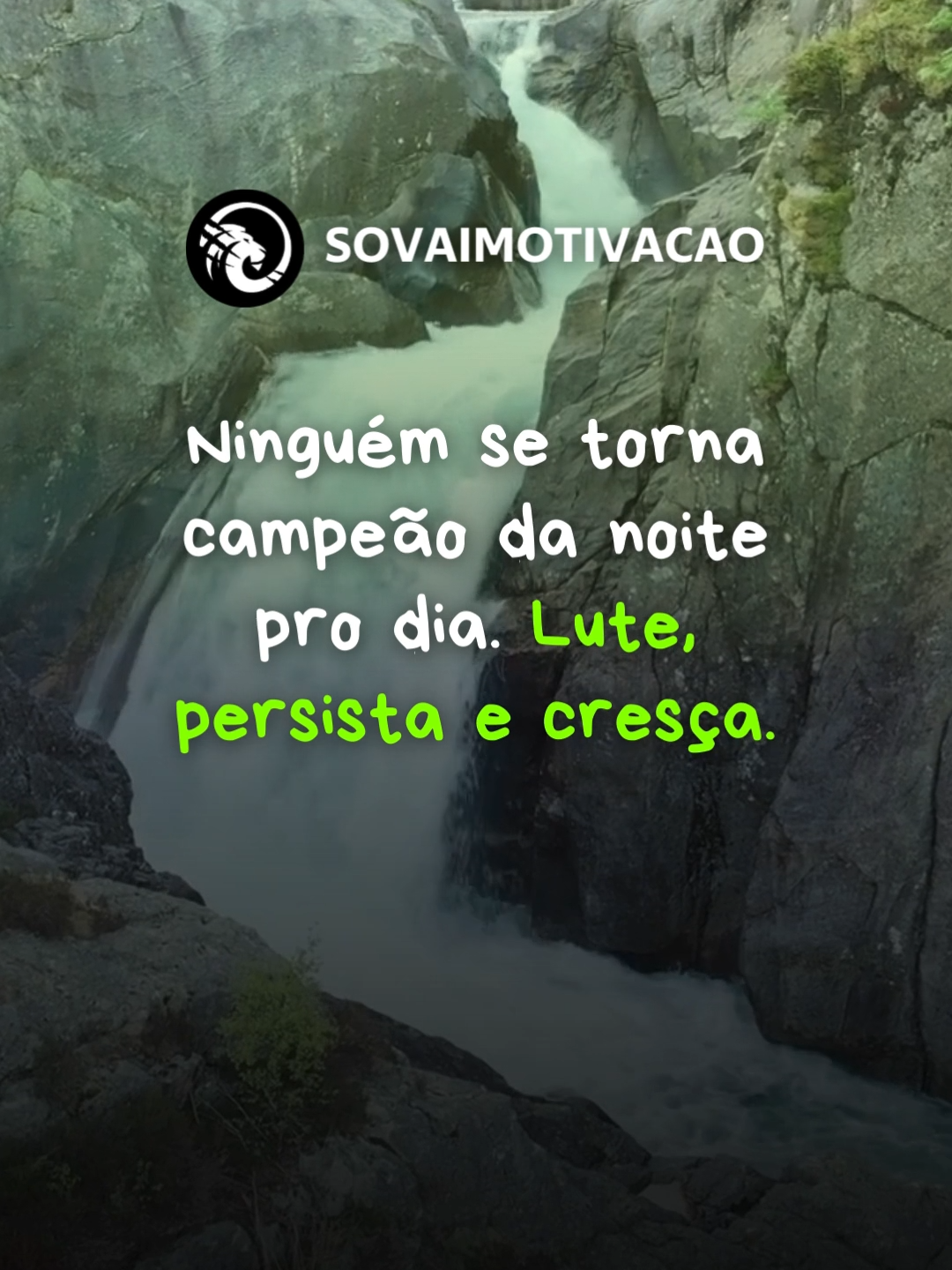 Ninguém se torna campeão da noite pro dia. Lute, persista e cresça. #motivação #frasemotivacional #frasedodia #reflexaododia #quotes