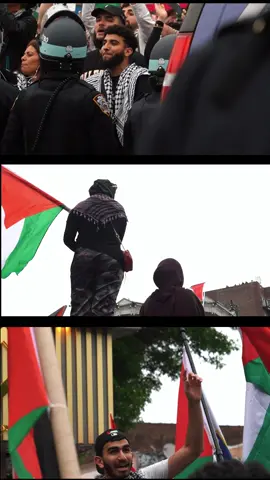 nakba day in bay ridge, brooklyn! organized by @Within Our Lifetime 🇵🇸 #palestine 