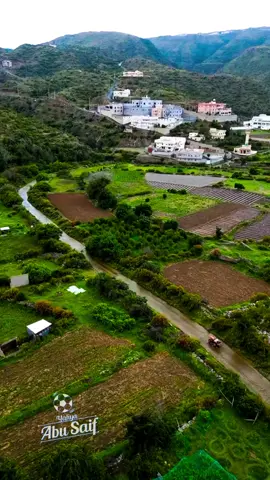 هنا الباحة ..  ‏خذوني ودي بخط الجنوب وسجة الانفاس  ‏والى هبت رياح الصيف مروا بي على الباحة  ‏وأنا وشلون مع خط الجنوب أشعر بضيق وباس  ‏وقدامي ثلاثة : غامد وزهران والباحة 