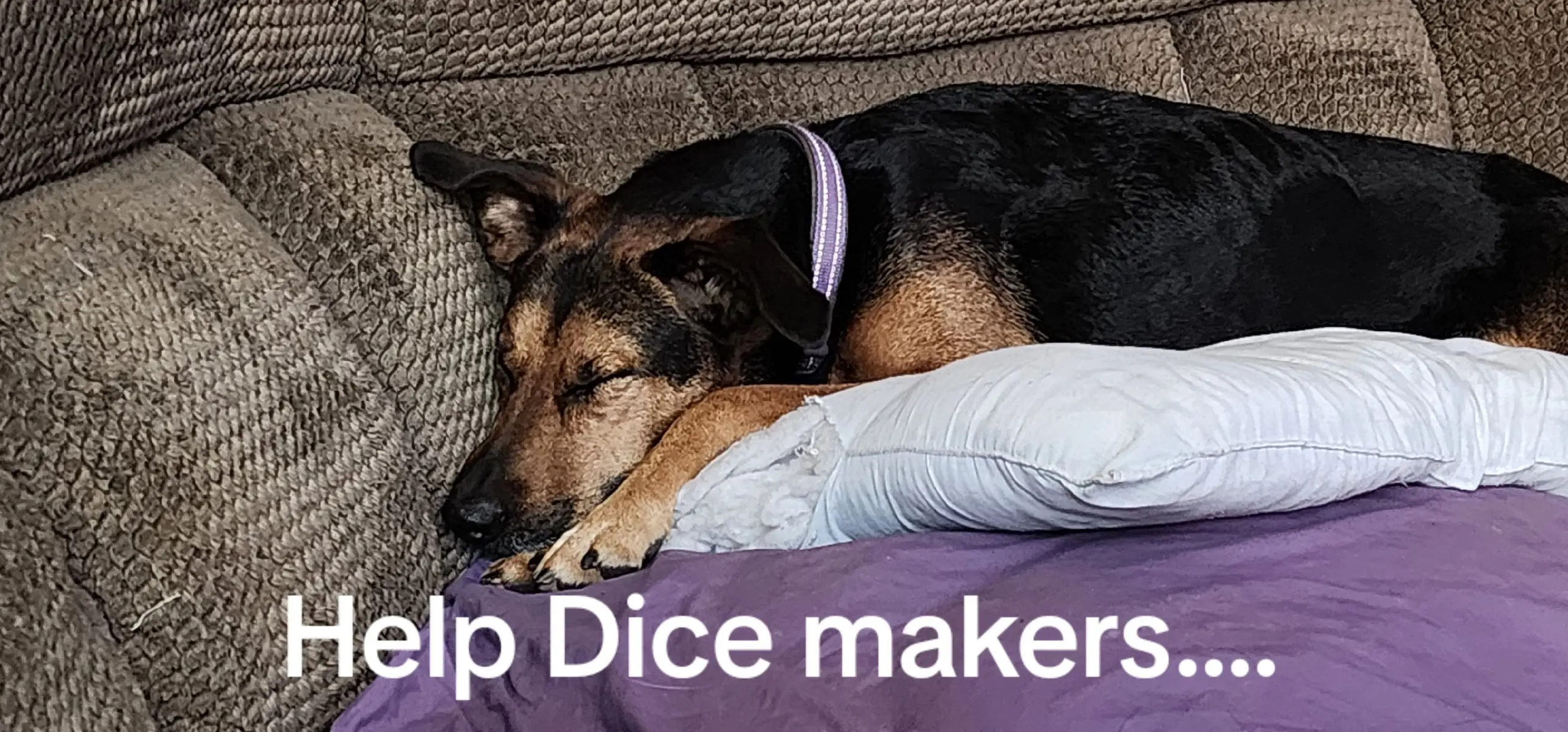 please # or @ Dice makers i can contact about getting memorial custom dice created.  I cut some fur clippings, that I can ship.  Thank you for your care and concern and any help in this matter. We miss her so much. I don't have a lot of funds after the medical costs but I can offer 3d sculpting services and files as well as some funds. thanks. . . . #rainbowbridge ##customdice #dndice #d20 