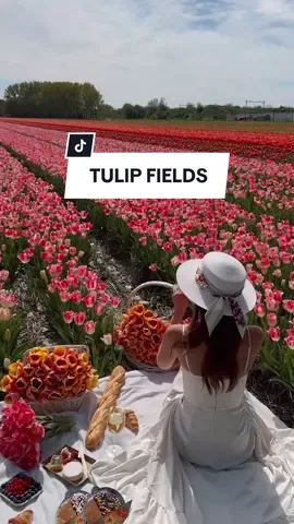 Your sign to visit a flower field this season 🌷 @Barbora Ondrackova in the Lovers and Friends Sisa Maxi Dress  #revolve #tulips #tulipfields #flower #flowerfields #pinterest #pinterestaesthetic #dress #dressinspo #outfit #style #fashion #spring #foryou #fyp 