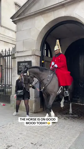 THE HORSE IS ON GOOD MOOD TODAY😁 #thekingsguard #goodmood #horses #horseguards #horseguardsparade 