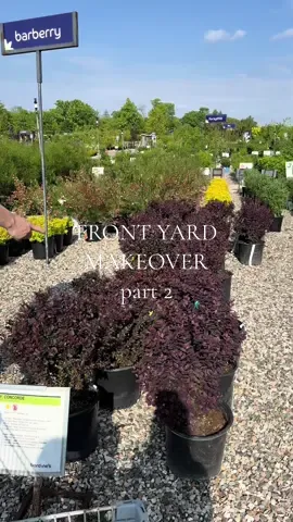 My back huuuurts so much, this will take years #Home #gardening #yardwork #momlife 