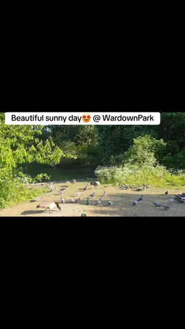#fyp #fypシ゚viral #foryou #foryoupage #foryoupageofficiall #trend #trending #trendingsong #goviral #uk #luton #asian #market #lovelyweather #sunnyday #beautifuldestinations #uktravel #punjab #punjabi #punjabisong #lovelyweather #Pakistan #goviral #lahore #mirpur_ajk #karachi #jhelum 