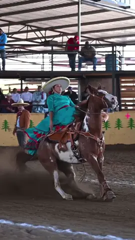#horse #tiktok #اكسبلورexplore #knight #عشاق_الخيل🐎♥️ #فارسه_خيل🐎 #خيل_وخياله #How #مكسيك #лошади #лошадь  #cavalo #حصان #kali #caballo #at  #cavaleiros #گھوڙا #farasi #马来西亚  #vaquejada #at #pferd #barrelracing  #AttackOnTitan #морь #うま #mountedshooting #caballos #خيول #فرسان  #cowboymountedshooting #rodeolife  #caballos #السعودية #العراق #مصر #اليمن #الكويت #المغرب #سوريا #cheval #hesperfect #paarden #cavalo  #жылқ  ы #فرس #charro 
