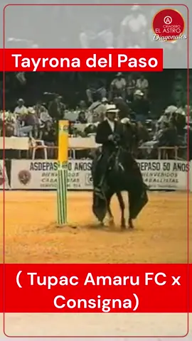 👀 Hoy les traemos algunos videos de un caballo importante de los diagonales👏🏻 🤩Tayrona del Paso hijo de Tupac Amaru (FC) ❌ Consigna 🏆 es padre y abuelo de múltiples campeones de los diagonales como: ✅ Cónsul  Estrella del Tayrona Renso Fogata del Arco Colegiala de Monterey La parlamentaria Sucesor del Paso  Bicéfalo de Vueltagrande  Y la lista sigue…. 👏🏻 💬 Déjanos en los comentarios tus opiniones acerca de este caballo y comparte con esos amig@s caballistas que te gustaría que vieran este video 📲  #amorporloscaballos #conexionconloscaballos #pasofinocolombiano #trochaygalopecolombianos #troteygalopecolombiano #trochapuracolombiana #viveapasofino 